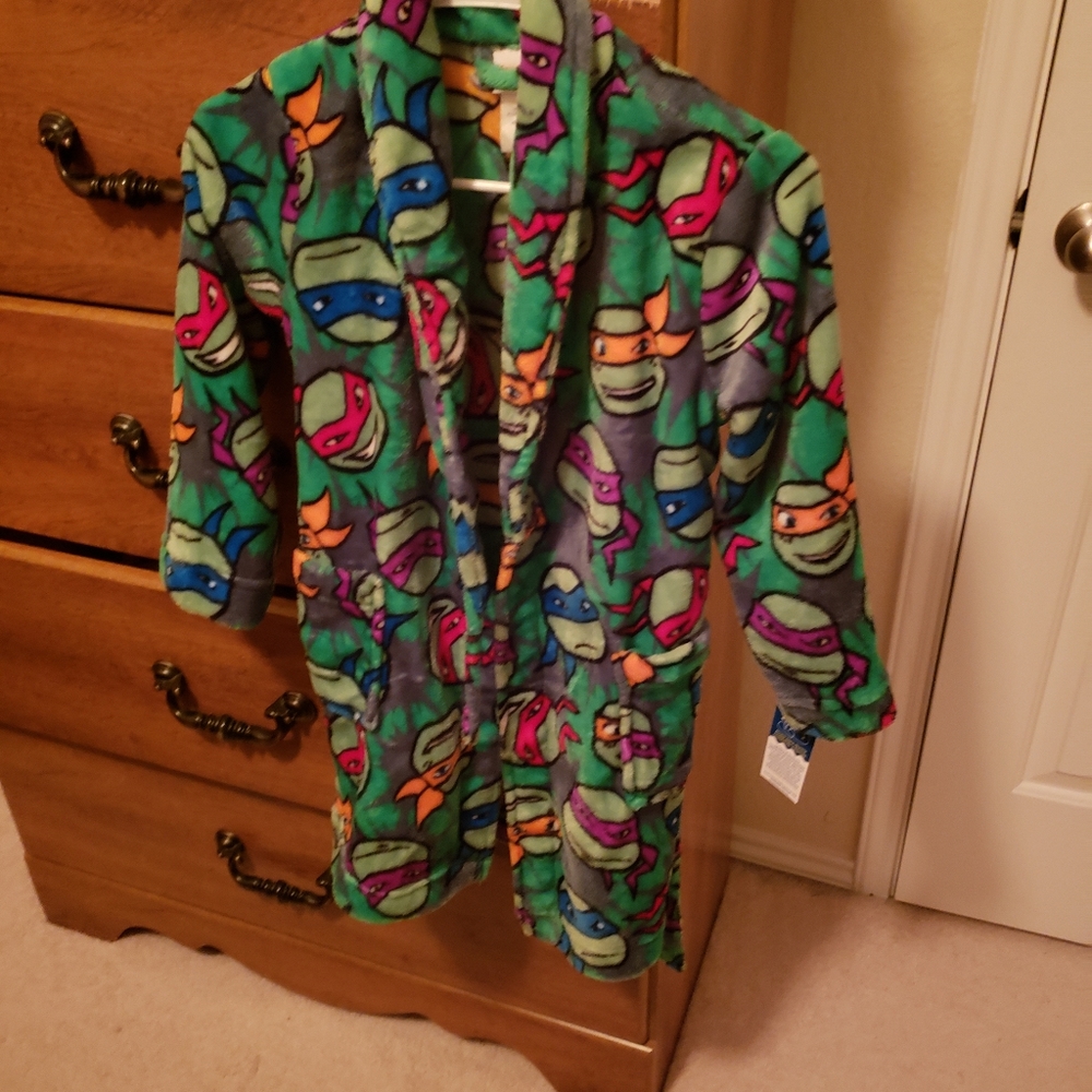 Teenage mutant ninja turtled